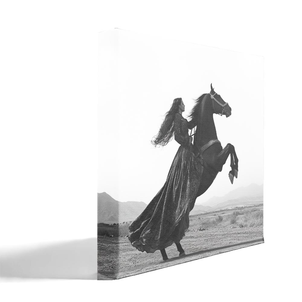 Dancer and Horse III Belly Dance Canvas Art 16 in x 16 in