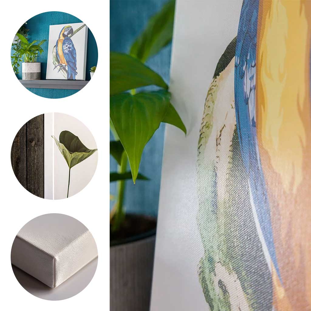 Cherry Blossoms II Belly Dance Canvas Art 16 in x 16 in